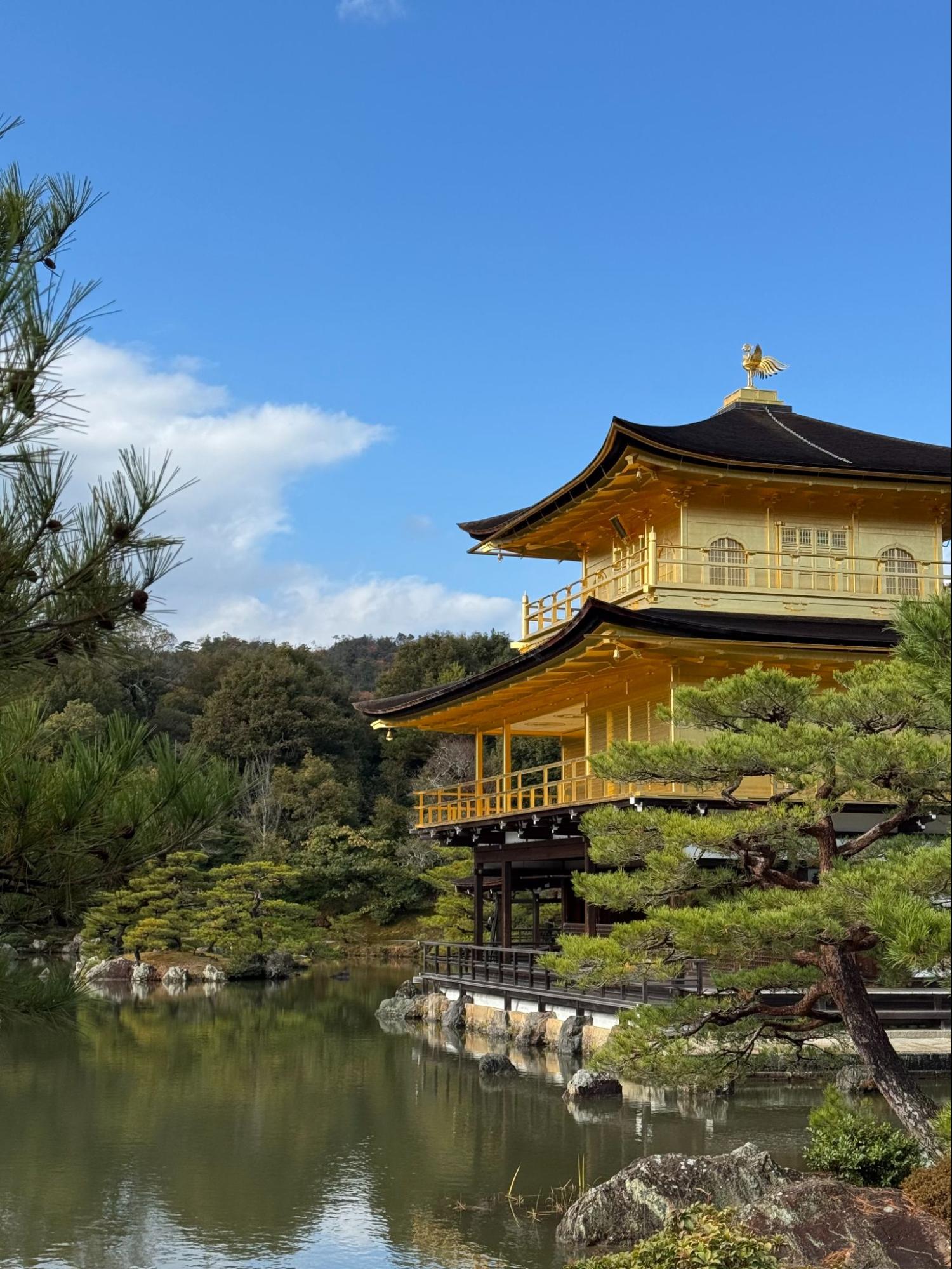 鹿苑寺输入